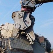 Ecologistas denuncian que el derribo ilegal es casi imposible con la nueva regulación