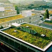 Francia obliga a instalar plantas en los tejados o techos solares